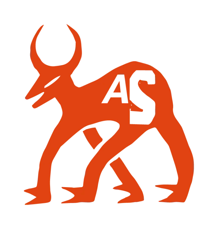 Toro Socarrón